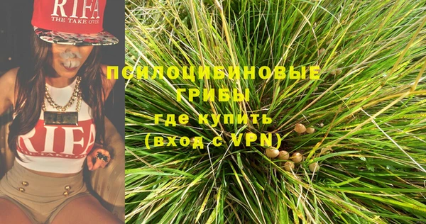 сатива Горно-Алтайск