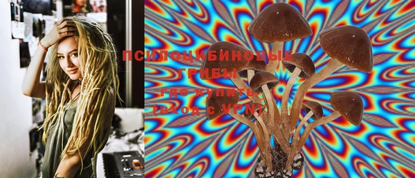 МДПВ Горняк