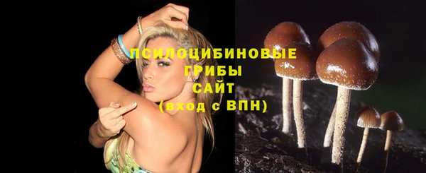 сатива Горно-Алтайск