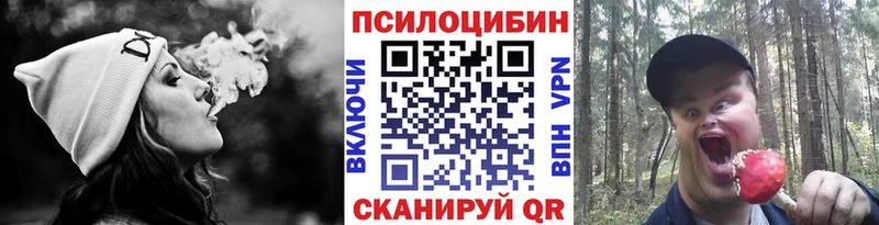 Псилоцибиновые грибы прущие грибы  Зея 